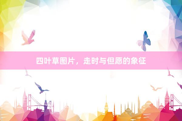 四叶草图片，走时与但愿的象征