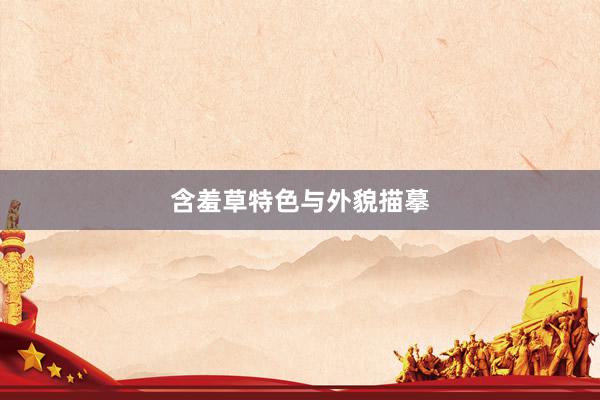 含羞草特色与外貌描摹
