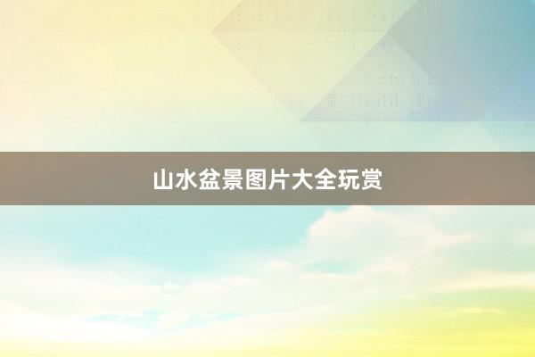 山水盆景图片大全玩赏