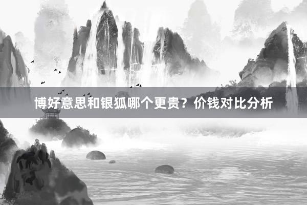 博好意思和银狐哪个更贵？价钱对比分析