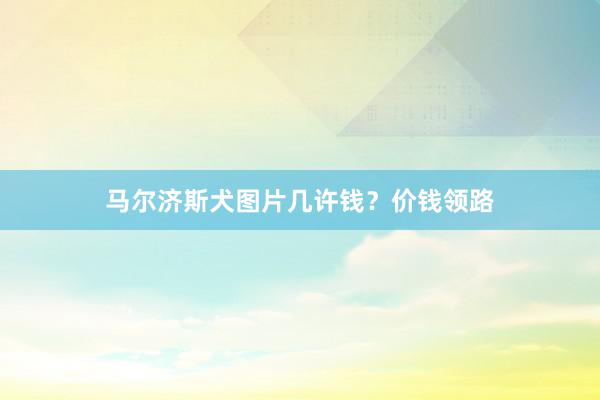 马尔济斯犬图片几许钱?价钱领路