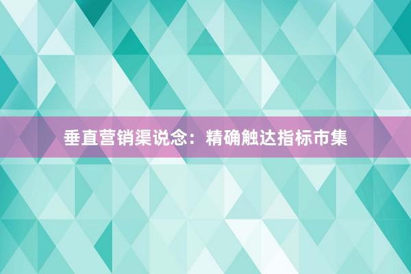 垂直营销渠说念：精确触达指标市集